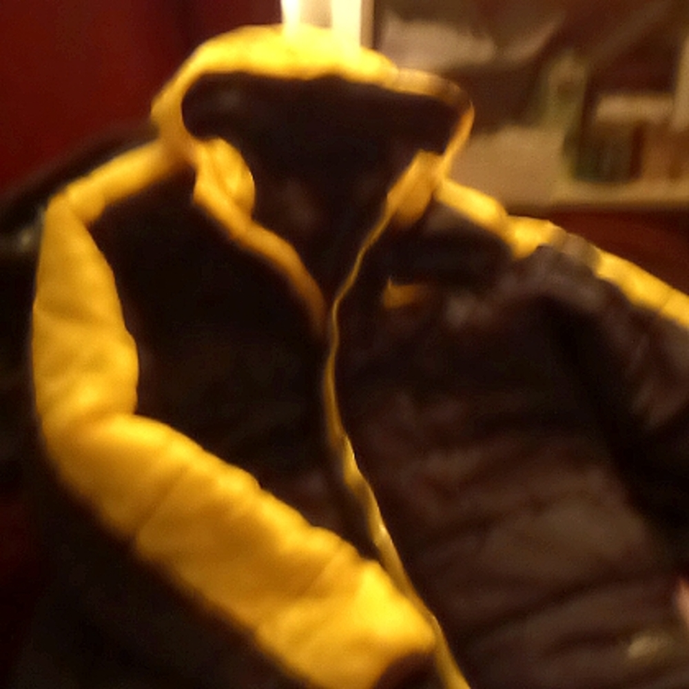 Mint condition worn twice Nike coat